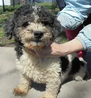 processed/f4794442-ffad-4712-9e62-aff68bf99519/facility/49060f52-3b5e-482f-b654-1713ea1eb57a