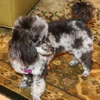 processed/f4794442-ffad-4712-9e62-aff68bf99519/facility/4b9364df-0271-443c-8131-447a9d005acb