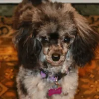 processed/f4794442-ffad-4712-9e62-aff68bf99519/facility/5e4b3f07-4282-4886-a08d-635ae6606c62