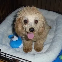 processed/f4794442-ffad-4712-9e62-aff68bf99519/facility/61baf6d5-f6dc-447b-9a2b-c306ae34380b