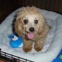 processed/f4794442-ffad-4712-9e62-aff68bf99519/facility/61baf6d5-f6dc-447b-9a2b-c306ae34380b