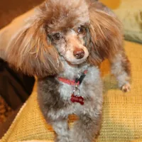 processed/f4794442-ffad-4712-9e62-aff68bf99519/facility/7d14b0b6-4446-4d9c-afd5-0381ea01e820