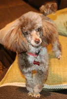 processed/f4794442-ffad-4712-9e62-aff68bf99519/facility/7d14b0b6-4446-4d9c-afd5-0381ea01e820