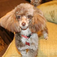 processed/f4794442-ffad-4712-9e62-aff68bf99519/facility/bf2879ac-5dc5-4d4c-8c26-4aa095a37f62