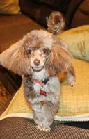 processed/f4794442-ffad-4712-9e62-aff68bf99519/facility/bf2879ac-5dc5-4d4c-8c26-4aa095a37f62