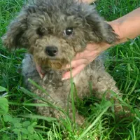 processed/f4794442-ffad-4712-9e62-aff68bf99519/facility/dbc974fb-3d03-40e0-a702-4fadda0c2abb