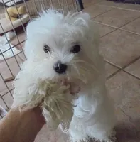 processed/f4794442-ffad-4712-9e62-aff68bf99519/facility/fff47493-c0de-4744-bb78-6406f06f7d65