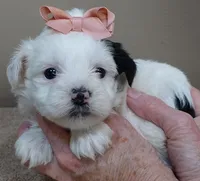 processed/f4794442-ffad-4712-9e62-aff68bf99519/listing/01e8390e-ebe7-4ece-90af-fe015160890b/54731b6f-7dfa-4b5a-bc5d-1ecdd8cc3076