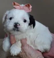 processed/f4794442-ffad-4712-9e62-aff68bf99519/listing/01e8390e-ebe7-4ece-90af-fe015160890b/56f22cc9-55bb-416c-976b-f93a3ce7fa04