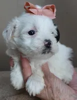 processed/f4794442-ffad-4712-9e62-aff68bf99519/listing/01e8390e-ebe7-4ece-90af-fe015160890b/a2a65ecc-1bd8-4947-a89b-e23a80b71b49