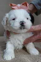 processed/f4794442-ffad-4712-9e62-aff68bf99519/listing/01e8390e-ebe7-4ece-90af-fe015160890b/afac438b-2eb0-42e3-a275-add8398ae073