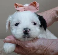 processed/f4794442-ffad-4712-9e62-aff68bf99519/listing/01e8390e-ebe7-4ece-90af-fe015160890b/b11f6f85-5853-40a0-9702-3519c963d4d5