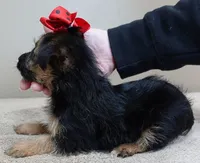 processed/f4794442-ffad-4712-9e62-aff68bf99519/listing/26fa0932-4474-4ff0-92f8-c02d06569c2b/0296d6da-887e-416e-a90b-2586559b9e9b