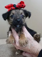 processed/f4794442-ffad-4712-9e62-aff68bf99519/listing/26fa0932-4474-4ff0-92f8-c02d06569c2b/69d88c54-ee34-4c08-8b33-1013395b0e66