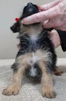 processed/f4794442-ffad-4712-9e62-aff68bf99519/listing/26fa0932-4474-4ff0-92f8-c02d06569c2b/76c20c3f-7c2d-4e8f-864f-30fe2df4b143