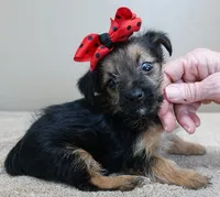 processed/f4794442-ffad-4712-9e62-aff68bf99519/listing/26fa0932-4474-4ff0-92f8-c02d06569c2b/ef12caf3-ce59-4c8d-a356-d39bad59e034