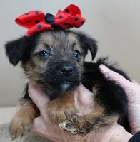 processed/f4794442-ffad-4712-9e62-aff68bf99519/listing/26fa0932-4474-4ff0-92f8-c02d06569c2b/f3b104f3-5ffb-4721-913d-7d6c4669b5ee