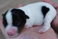 processed/f4794442-ffad-4712-9e62-aff68bf99519/listing/37ae7ca5-1709-4161-9705-a438ee1ebe41/7cca986c-a7f3-4c81-8e8a-e23a0b0f7919