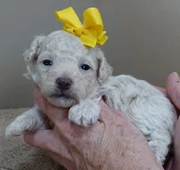 processed/f4794442-ffad-4712-9e62-aff68bf99519/listing/48f013ae-fa66-46dd-8d9d-1f87f753b892/12db384c-968b-4260-8bd3-0fe8c8f8b130