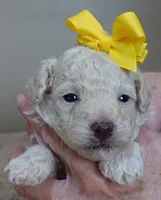 processed/f4794442-ffad-4712-9e62-aff68bf99519/listing/48f013ae-fa66-46dd-8d9d-1f87f753b892/37e8316b-b944-46fa-aa3d-2e3893c58eef