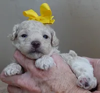 processed/f4794442-ffad-4712-9e62-aff68bf99519/listing/48f013ae-fa66-46dd-8d9d-1f87f753b892/6b07ae80-4c35-4ede-a4c1-76d1dad3d47a