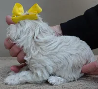 processed/f4794442-ffad-4712-9e62-aff68bf99519/listing/48f013ae-fa66-46dd-8d9d-1f87f753b892/bd4f48c7-d8cb-48bc-8375-2c2db1ff7aa8