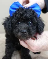 processed/f4794442-ffad-4712-9e62-aff68bf99519/listing/5139f566-2118-4ff5-a632-40491d876730/18e2bd33-0362-4e16-8752-1413d17883e7