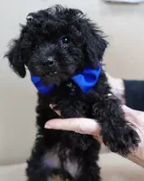 processed/f4794442-ffad-4712-9e62-aff68bf99519/listing/5139f566-2118-4ff5-a632-40491d876730/294ec3b7-7b01-4ea3-aaa4-36449e86bcaf