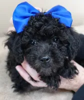 processed/f4794442-ffad-4712-9e62-aff68bf99519/listing/5139f566-2118-4ff5-a632-40491d876730/6dff3c8a-12cf-4d37-abdf-8a42333ba9da