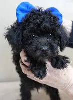 processed/f4794442-ffad-4712-9e62-aff68bf99519/listing/5139f566-2118-4ff5-a632-40491d876730/f639d2ce-59fe-4f88-857b-ebc7ea104fc5