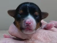 processed/f4794442-ffad-4712-9e62-aff68bf99519/listing/d5637d64-40ac-41d4-94bc-5f87ad0ce292/348929ee-8ab1-4c4a-9eb8-6486d6cc8085