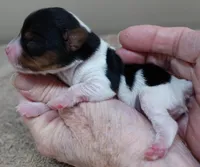 processed/f4794442-ffad-4712-9e62-aff68bf99519/listing/d5637d64-40ac-41d4-94bc-5f87ad0ce292/aabab938-a945-4660-980a-dfceeb950db4