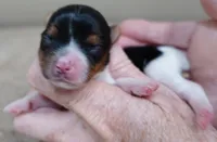 processed/f4794442-ffad-4712-9e62-aff68bf99519/listing/d5637d64-40ac-41d4-94bc-5f87ad0ce292/fa371518-a024-4a46-8074-f4e62bd0d52b