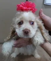 processed/f4794442-ffad-4712-9e62-aff68bf99519/listing/d5e9b039-a78d-459c-873c-8cac343e980e/36c9136e-6803-4bd6-845b-a035b8e6c9f4