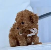 processed/f47f354d-5e69-4e9f-a98a-16aa1a33f84b/listing/5d0365ad-9e5a-4f99-af05-0cf3ea9703f0/add00488-ced1-49a3-ba59-0b7b69389aa8