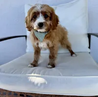 processed/f47f354d-5e69-4e9f-a98a-16aa1a33f84b/listing/abe710f9-ae1b-41e3-a229-399116ec607f/0f3c56d2-2bb1-4cf9-bc1e-8994ae9152e0