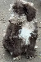 processed/f47f48df-b64e-4f87-a065-0cccf3d2ddbb/listing/1d2f8b3a-bcaa-4fe0-bbb0-893d4326b0e7/7ed85eb1-0f45-4a5a-8a76-88d46c21b3a7