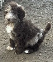 processed/f47f48df-b64e-4f87-a065-0cccf3d2ddbb/listing/1d2f8b3a-bcaa-4fe0-bbb0-893d4326b0e7/f8b9240e-001f-42b3-9768-1c6bb51fbee0