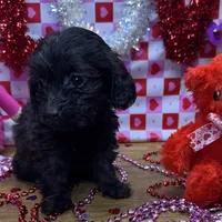 processed/f47f48df-b64e-4f87-a065-0cccf3d2ddbb/listing/26adabfa-a175-43d8-9589-03640479cef3/5061a393-55fb-4b31-b77b-e53132d86397