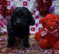 processed/f47f48df-b64e-4f87-a065-0cccf3d2ddbb/listing/26adabfa-a175-43d8-9589-03640479cef3/c1b2e0f1-4af3-473e-833e-7c0a031fb3bc