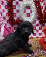 processed/f47f48df-b64e-4f87-a065-0cccf3d2ddbb/listing/26adabfa-a175-43d8-9589-03640479cef3/caa7a83d-1eee-4ca1-8ad3-5d1e1d17ffd3