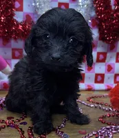 processed/f47f48df-b64e-4f87-a065-0cccf3d2ddbb/listing/26adabfa-a175-43d8-9589-03640479cef3/de4d4e47-c0b4-4736-8481-29c0facf719d