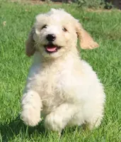 processed/f47f48df-b64e-4f87-a065-0cccf3d2ddbb/listing/2c5d9eba-72b8-480f-b7fc-2fe53f273e3e/22a9c140-ba1a-473e-a02c-93c8feab566b