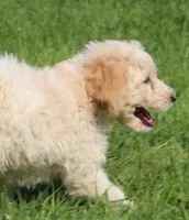 processed/f47f48df-b64e-4f87-a065-0cccf3d2ddbb/listing/2c5d9eba-72b8-480f-b7fc-2fe53f273e3e/55d62b8f-bdc1-44e7-a3a0-04bdf9355ea1