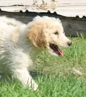 processed/f47f48df-b64e-4f87-a065-0cccf3d2ddbb/listing/2c5d9eba-72b8-480f-b7fc-2fe53f273e3e/9e005812-82c3-4846-8a12-15ce64aa4586