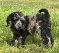 processed/f47f48df-b64e-4f87-a065-0cccf3d2ddbb/listing/4b48fa66-0c4a-4bda-8b51-36a52e0c4983/a011c665-a34a-40d0-8dc5-719c070990b5