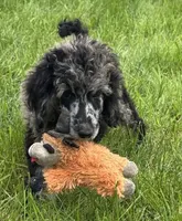 processed/f47f48df-b64e-4f87-a065-0cccf3d2ddbb/listing/4b48fa66-0c4a-4bda-8b51-36a52e0c4983/a15d9cfa-f502-41d2-acec-c43e2637c41e