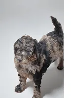 processed/f47f48df-b64e-4f87-a065-0cccf3d2ddbb/listing/4b48fa66-0c4a-4bda-8b51-36a52e0c4983/cd07f6ee-5308-4ff6-a54f-881fc649e1f9