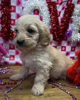 processed/f47f48df-b64e-4f87-a065-0cccf3d2ddbb/listing/4bb1bcf6-c484-4171-8fc2-6a882979b8ed/204b3ee5-380b-4f2c-bbec-45476dbc9b89