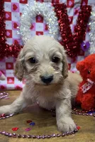 processed/f47f48df-b64e-4f87-a065-0cccf3d2ddbb/listing/4bb1bcf6-c484-4171-8fc2-6a882979b8ed/54050f45-fbb0-48d7-a76e-5d2a545179c0